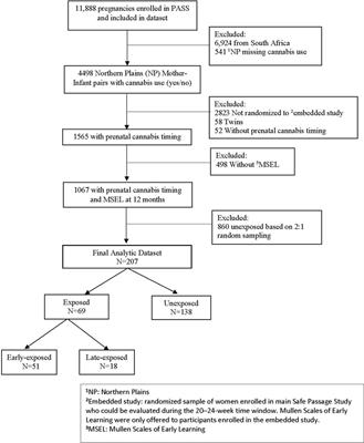 Prenatal cannabinoid exposure and early language development